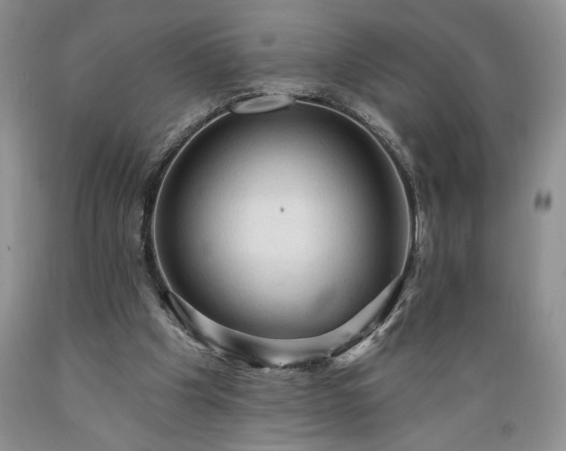 X0000089380201200706221302