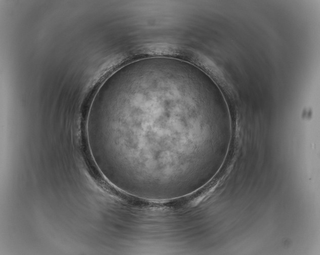 X0000089380202200706221302