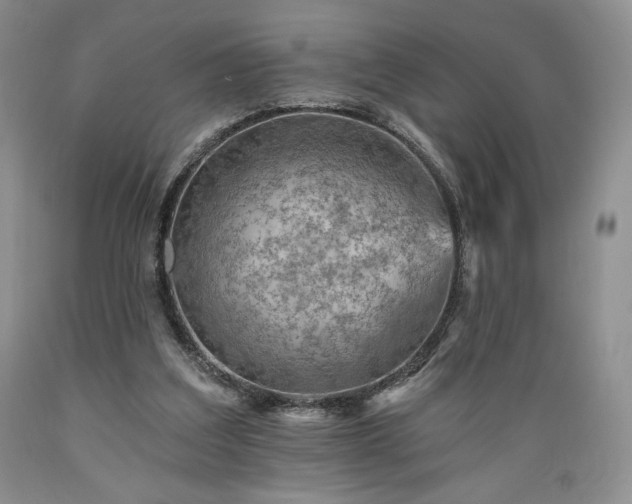X0000089380203200706221302