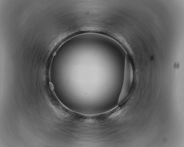 X0000089380204200706221302