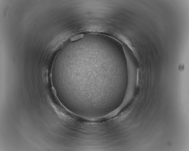 X0000089380205200706221302