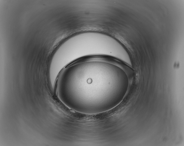 X0000089380207200706221302