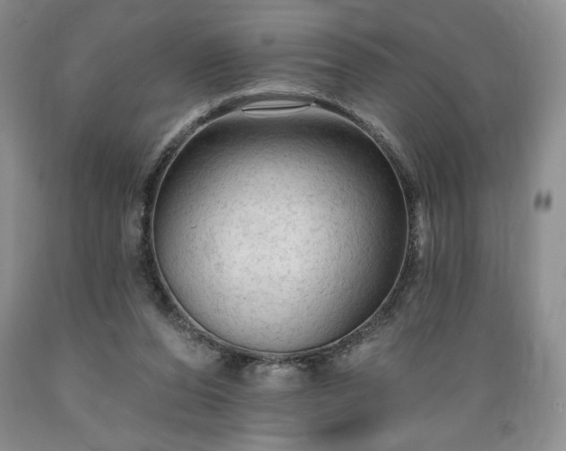X0000089380208200706221302