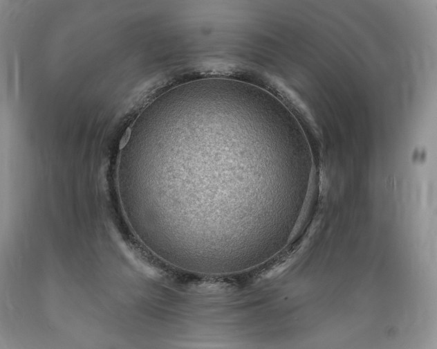 X0000089380209200706221302