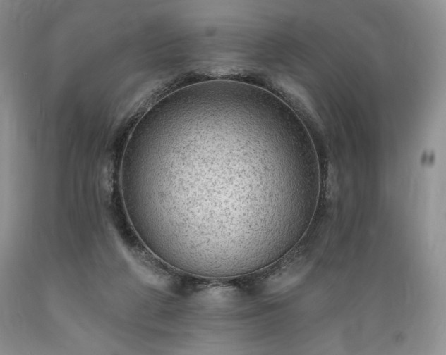 X0000089380210200706221302