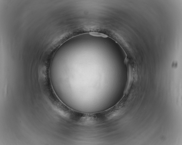 X0000089380211200706221302