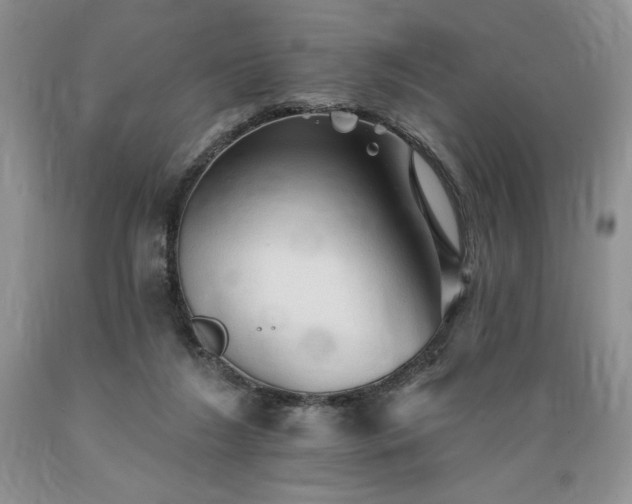 X0000089380212200706221302