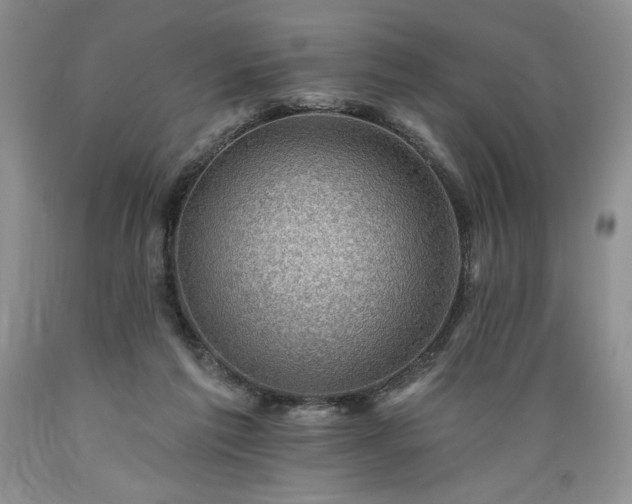 X0000089380213200706221302