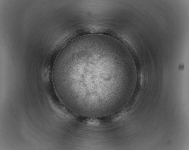 X0000089380214200706221302
