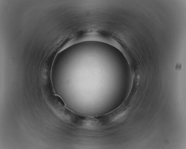 X0000089380215200706221302