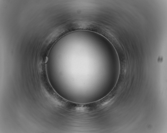 X0000089380216200706221302