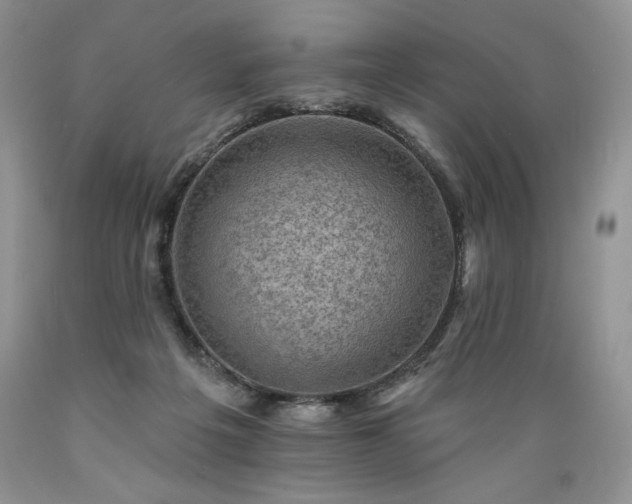 X0000089380217200706221302