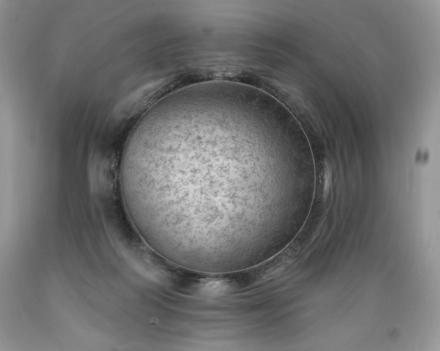 X0000089380218200706221302