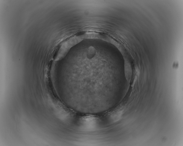 X0000089380219200706221302