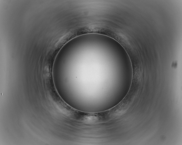 X0000089380220200706221302