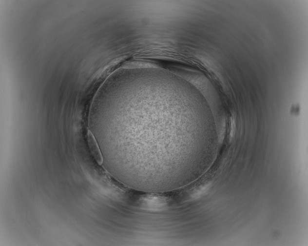 X0000089380221200706221302