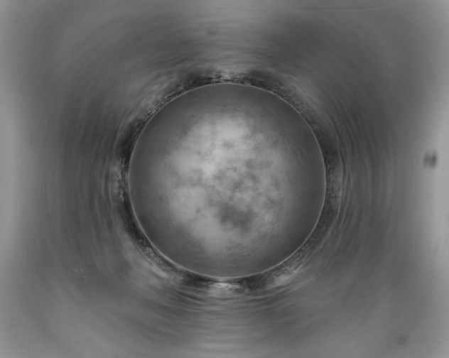 X0000089380222200706221302