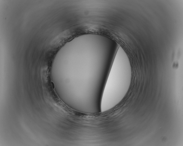 X0000089380223200706221302