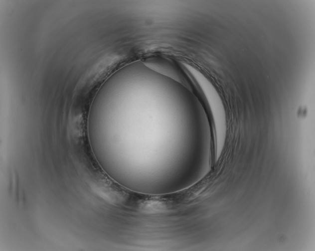X0000089380224200706221302