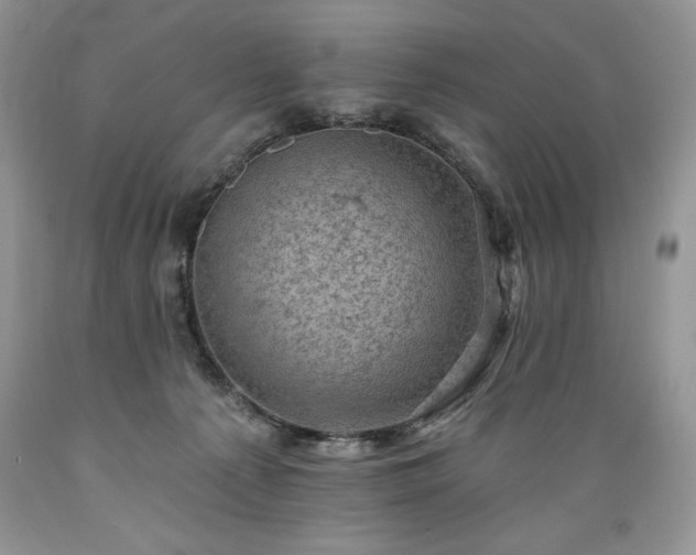 X0000089380225200706221302