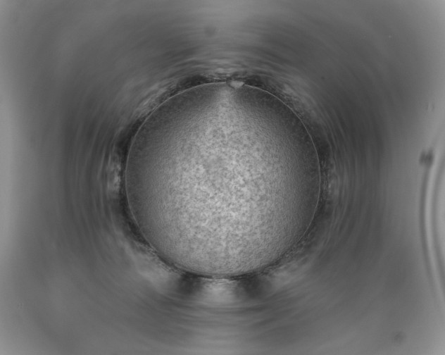 X0000089380226200706221302
