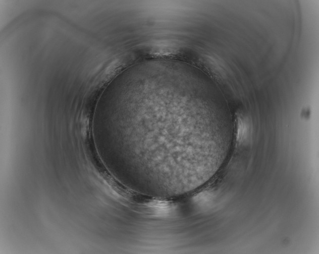 X0000089380227200706221301
