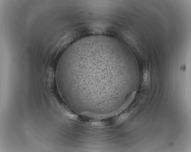 X0000089380228200706221301