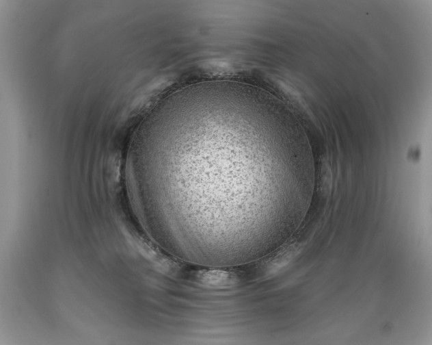 X0000089380230200706221301