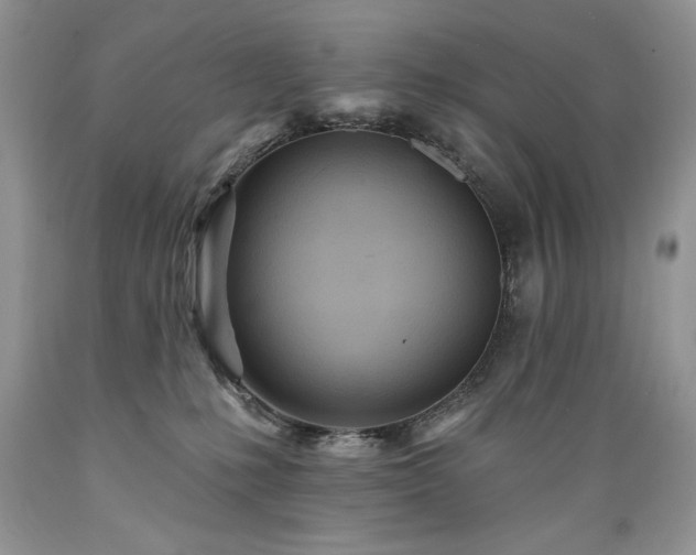 X0000089380231200706221301