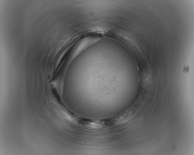 X0000089380232200706221301