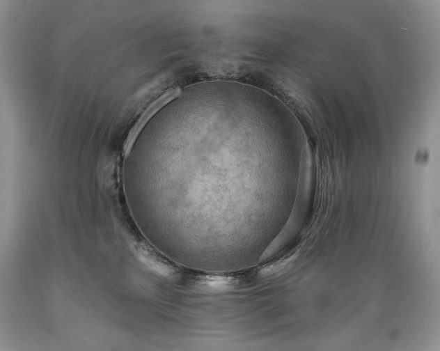X0000089380233200706221301