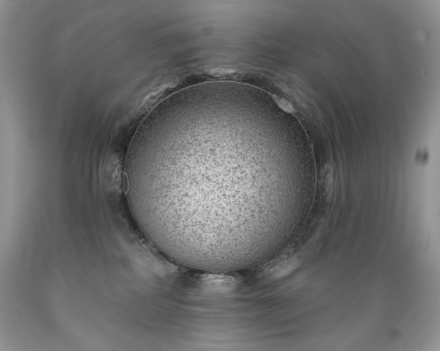 X0000089380234200706221301