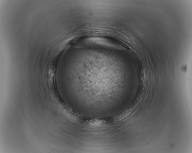 X0000089380235200706221301