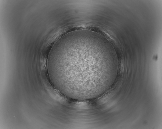 X0000089380236200706221301