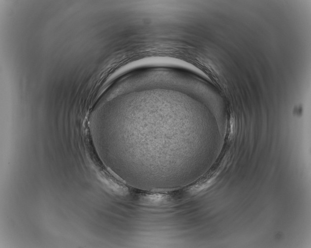 X0000089380237200706221301