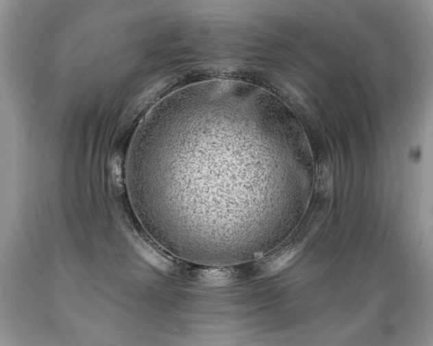 X0000089380238200706221301