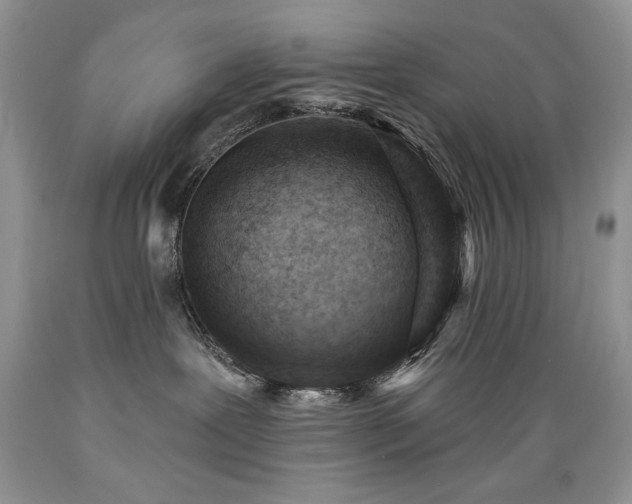 X0000089380239200706221301