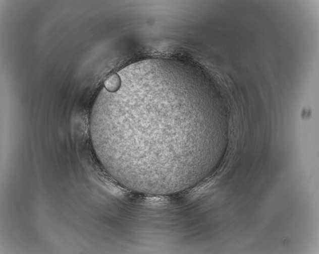 X0000089380240200706221301