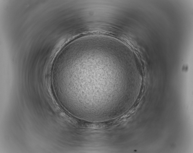 X0000089380241200706221300