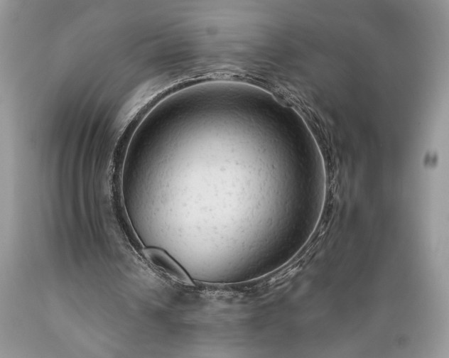 X0000089380242200706221300