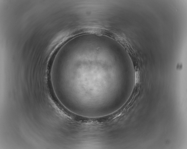 X0000089380243200706221301
