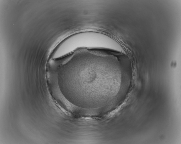 X0000089380244200706221301