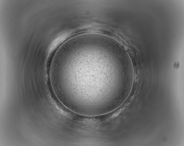 X0000089380245200706221301