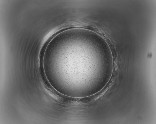 X0000089380246200706221301