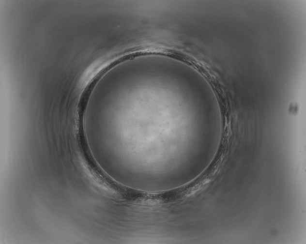 X0000089380247200706221301