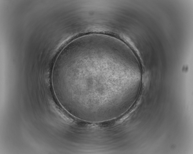 X0000089380249200706221301