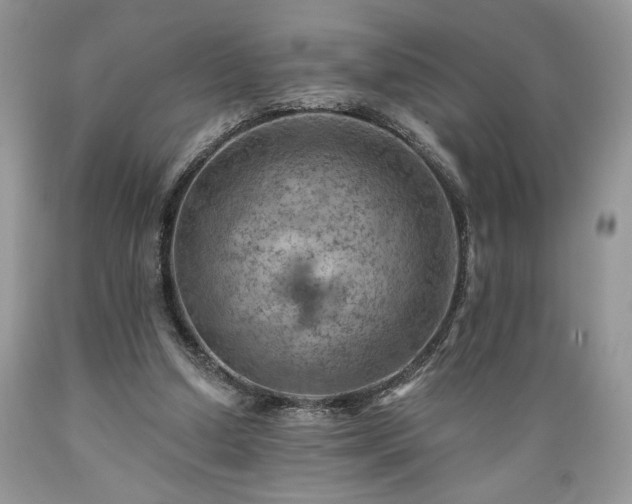 X0000089380250200706221301