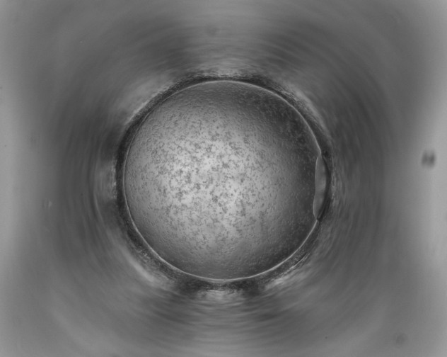 X0000089380251200706221301