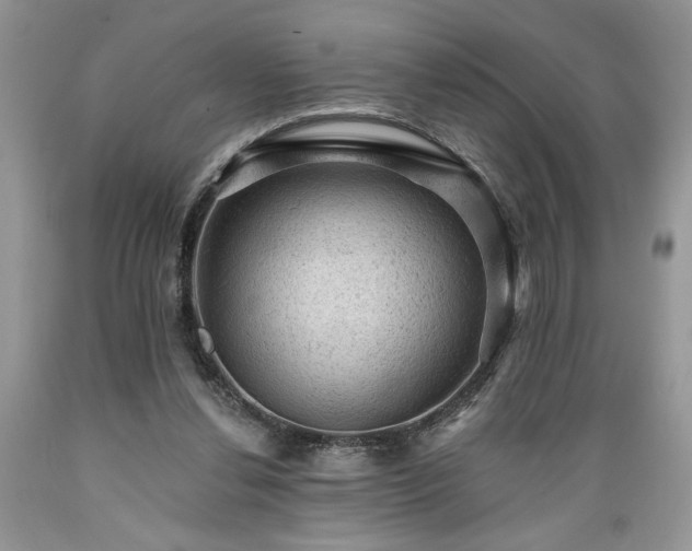 X0000089380252200706221301