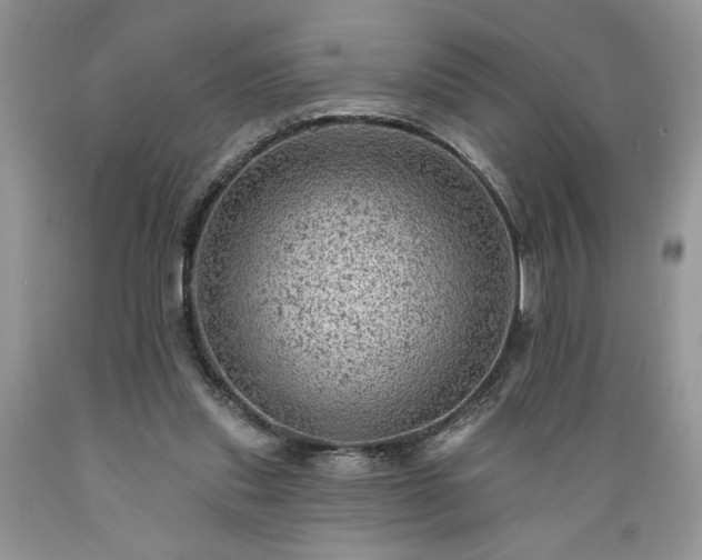 X0000089380253200706221301